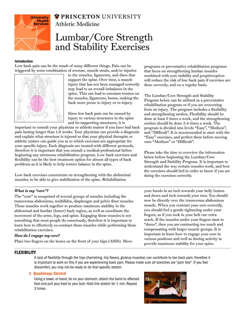 Lumbar/Core Strength and Stability Exercises