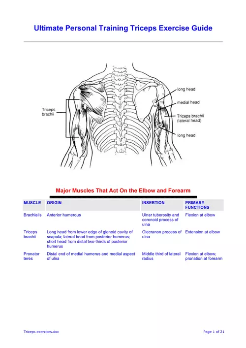 Triceps exercises.pdf - Ultimate Personal Training