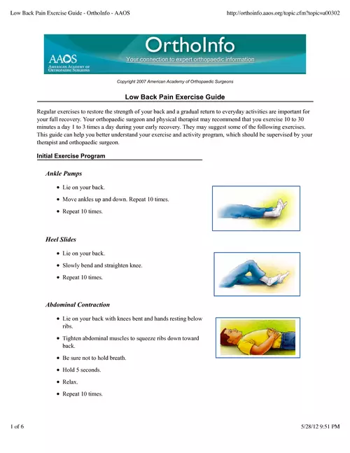 Low Back Pain Exercise Guide - OrthoInfo - AAOS - Aktiv 360