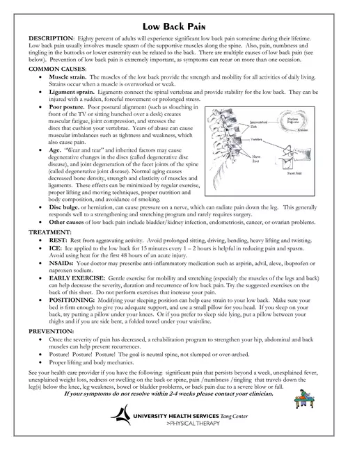 Causes of Low Back Pain