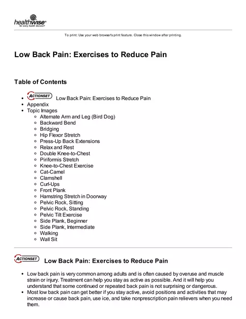  Low Back Pain: Exercises to Reduce Pain