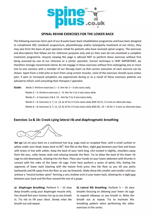  spinal rehab exercises for the lower back - Spine Plus