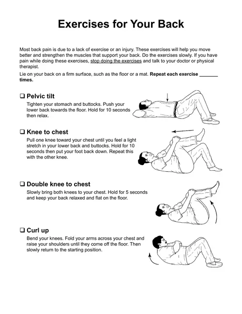  Exercises for Your Back - Health Information Translations