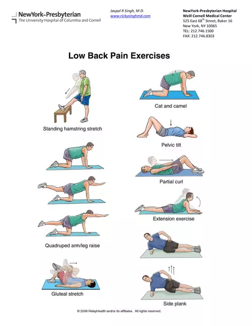Low Back Pain Exercises - Jaspal Ricky Singh MD