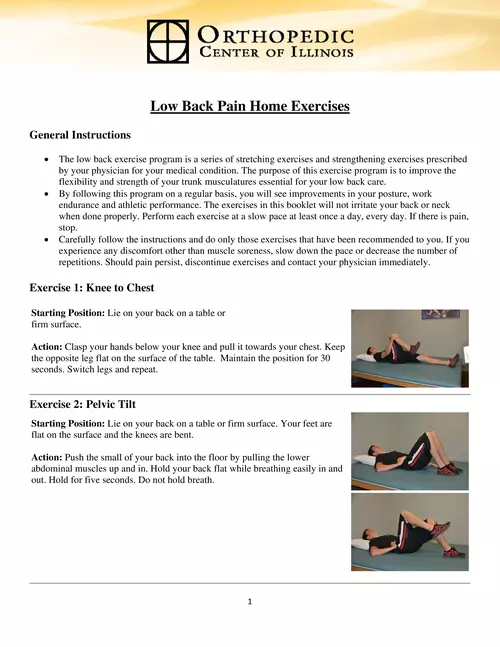 Low Back Pain Home Exercises - Orthopedic Center of Illinois