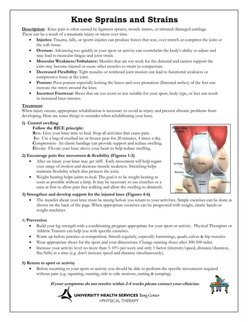  Knee Pain