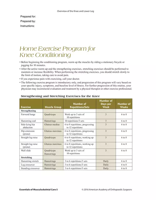  Home Exercise Program for Knee Conditioning