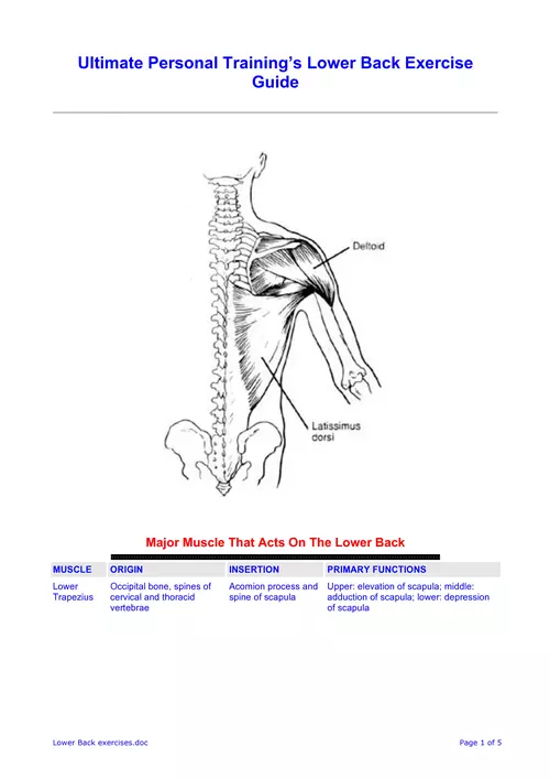 Ultimate Personal Training's Lower Back Exercise Guide