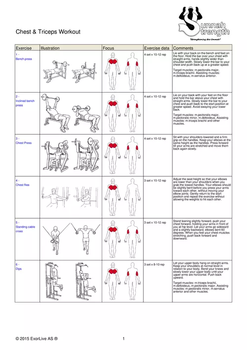 Chest & Triceps Workout - Kumon Y'all